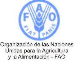FAO llama a perseguir erradicación del hambre en agenda post 2015