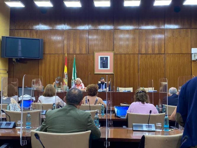 La Vocalía de Educación del COTS Córdoba comparece en el Parlamento Andaluz
