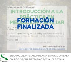 CURSO INTRODUCCIÓN A LA PRÁCTICA EN MEDIACIÓN FAMILIAR//FAMILIA BITARTEKARITZAREN PRAKTIKARA HURBILKETA FORMAKUNTZA