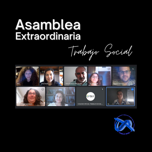 Asamblea Extraordinaria del Consejo Andaluz de Colegios Profesionales/Oficiales de Trabajo Social
