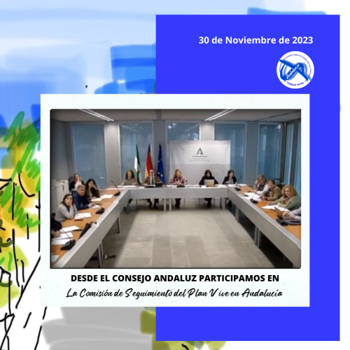 Participamos en la Comisión de Seguimiento del Plan Vive en Andalucía