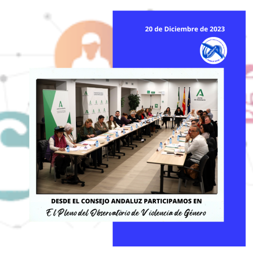 Participamos en el Pleno del Observatorio de Violencia de Género
