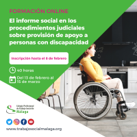 Curso "El informe social en los procedimientos judiciales sobre provisión de apoyo a personas con discapacidad". Edición 2024