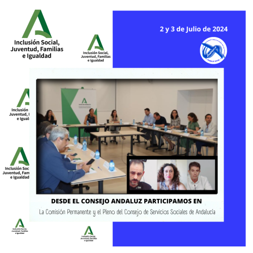 Participamos en la Comisión Permanente y el Pleno del Consejo de Servicios Sociales