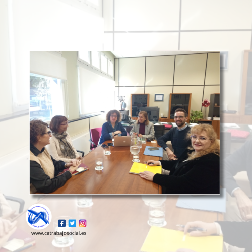 Reunión de la Comisión de Salud del Consejo Andaluz de Trabajo Social con la Dirección General de Cuidados y Atención Sociosanitaria