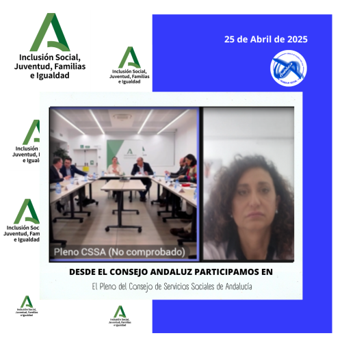 Participamos en el Pleno del Consejo de Servicios Sociales