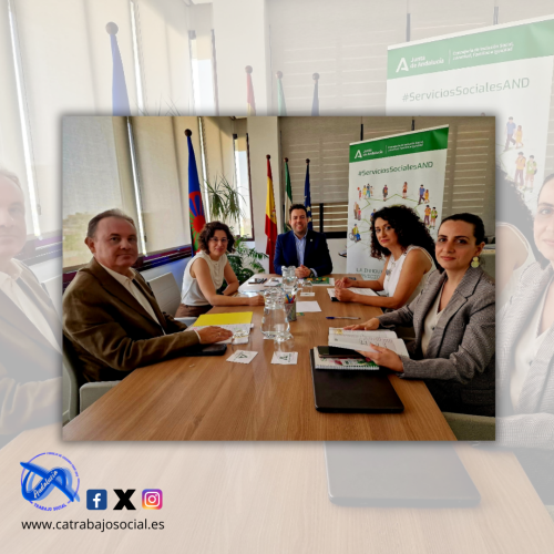 El Consejo Andaluz de Trabajo Social se vuelve a reunir con la Consejería de Inclusión Social para la defensa de la profesión y los derechos sociales