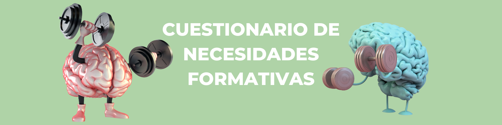 CUESTIONARIO FORMACIÓN 2026
