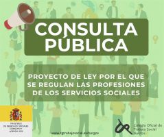  CONSULTA PÚBLICA Ley de regulación de las profesiones Servicios Sociales