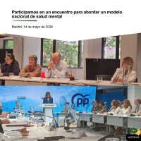 Participamos en un encuentro para abordar un modelo nacional de salud mental