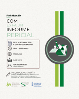 Com es fa un informe pericial 2026