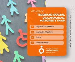 II Reunión Grupo TS Discapacidad, Mayores y SAAD- martes 24 de noviembre de 17:00 a 18:30 horas