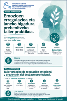 Taller práctico. Regulación emocional y prevención del  desgaste profesional